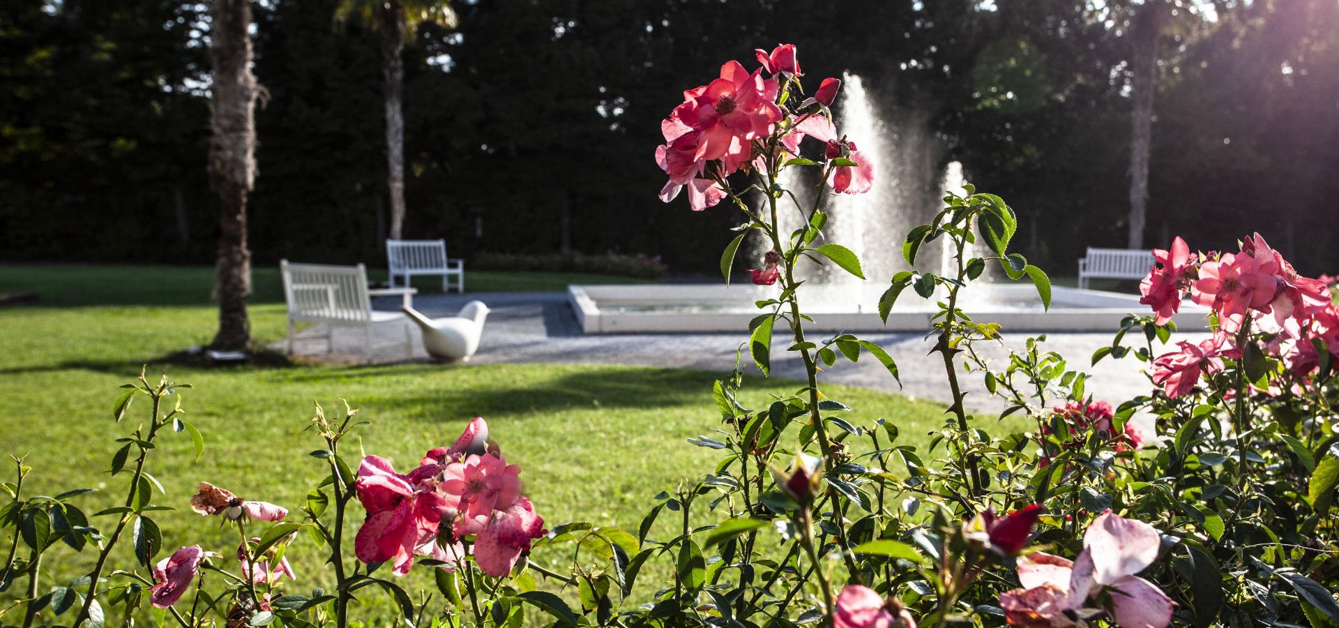 Giardino con rose, fontana e panchine bianche in una giornata di sole.